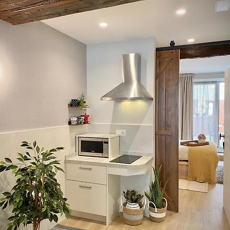 Apartment Altzoan Tourist Con Aparcamiento Gratis