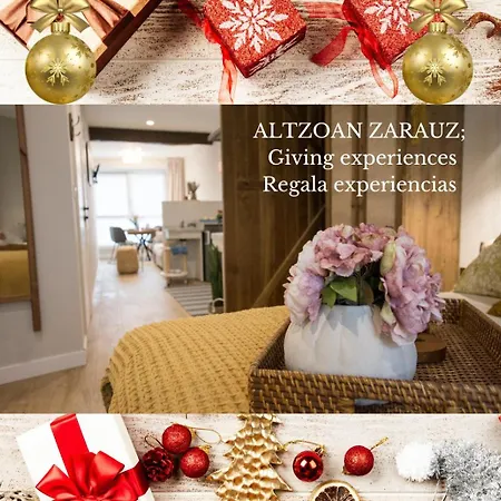 Apartment Altzoan Tourist Con Aparcamiento Gratis *
