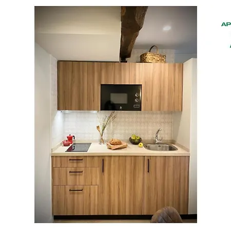 Boutique Altzoan Licencia Tss00146 Apartment Zarautz